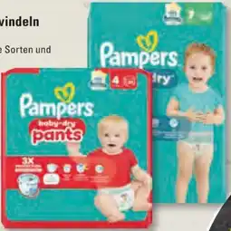 Edeka Frischemarkt Pampers Höschenwindeln Angebot