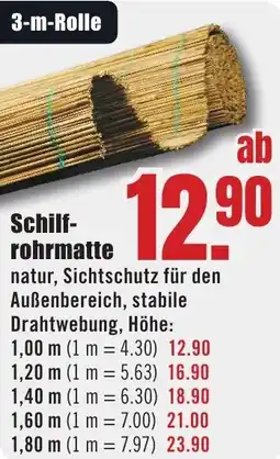 B1 Discount Baumarkt Schilfrohrmatte Angebot