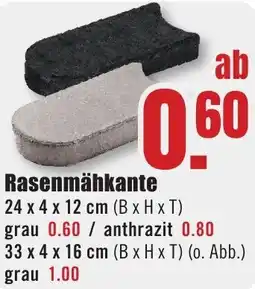 B1 Discount Baumarkt Rasenmähkante Angebot