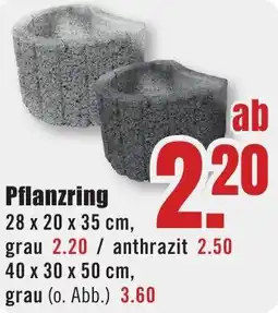 B1 Discount Baumarkt Pflanzring Angebot
