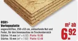 B1 Discount Baumarkt OSB1 Verlegeplatte Angebot