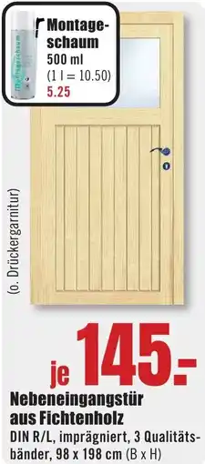 B1 Discount Baumarkt Nebeneingangstür aus Fichtenholz Angebot