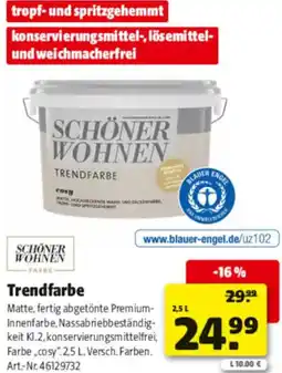 Hagebau SCHÖNER WOHNEN Trendfarbe Angebot