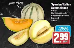 AEZ Spanien/Italien Netzmelonen Angebot
