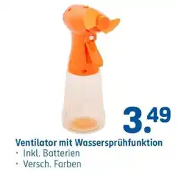 Rossmann Ventilator mit Wassersprühfunktion Angebot