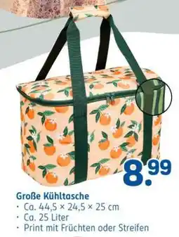Rossmann Große Kühltasche Angebot