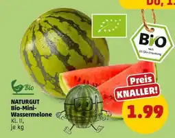 PENNY NATURGUT Bio-Mini-Wassermelone Angebot