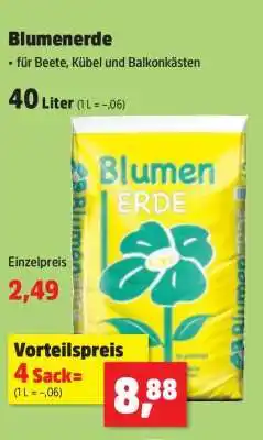 Thomas Philipps Blumenerde Angebot