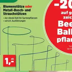 Thomas Philipps Blumenstütze oder Metall-Busch- und Strauchstützen Angebot