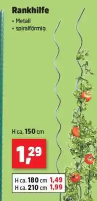 Thomas Philipps Rankhilfe Angebot