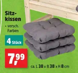 Thomas Philipps Sitzkissen Angebot
