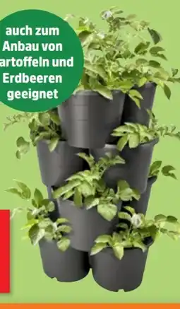Thomas Philipps Pflanzturm 4-tlg Angebot