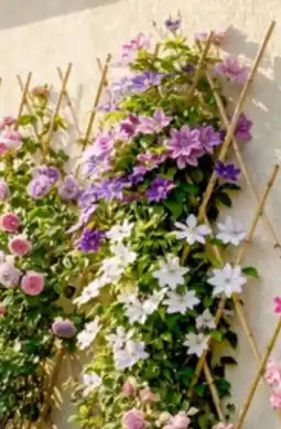 Thomas Philipps Bambus-Gartenspalier Angebot