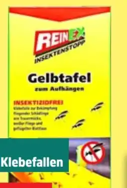 Thomas Philipps Reinex Insektenstopp Gelbtafel zum Aufhängen Angebot