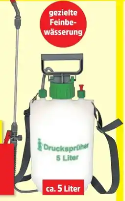 Thomas Philipps Drucksprüher Angebot