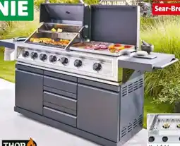 Hagebau Thor Outdoorküche Giant Angebot