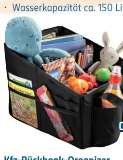 Rossmann Rossmann Ideenwelt Kfz-Rückbank Organize Angebot