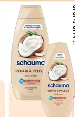 Rossmann Schwarzkopf Schauma Shampoo Angebot