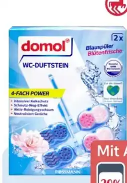 Rossmann Domol WC-Duftsteine Angebot