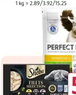 Rossmann Whiskas Katzen-Trockennahrung Angebot