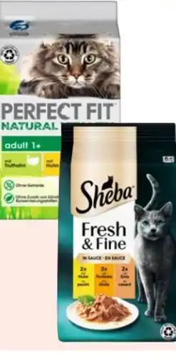 Rossmann Sheba Katzennahrung Fresh & Fine Angebot
