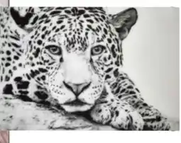XXXLutz Monée Glasbild Leopard Angebot