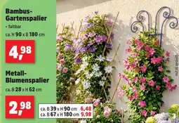 Thomas Philipps Bambus-gartenspalier Angebot