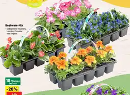 Thomas Philipps Beetware-mix Angebot