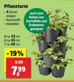 Thomas Philipps Pflanzturm Angebot