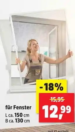 Thomas Philipps Insektenschutz Angebot