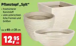 Thomas Philipps Pflanztopf sylt Angebot