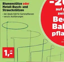 Thomas Philipps Blumenstütze Angebot