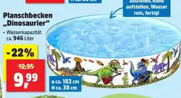 Thomas Philipps Planschbecken dinosaurier Angebot