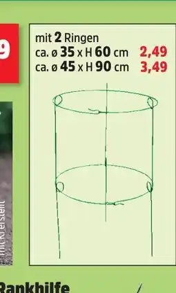 Thomas Philipps Blumenstütze mit 2 ringen ø 35 x h 60 cm Angebot