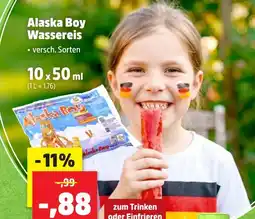 Thomas Philipps Alaska boy wassereis Angebot