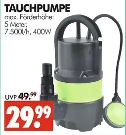 Wreesmann Tauchpumpe Angebot