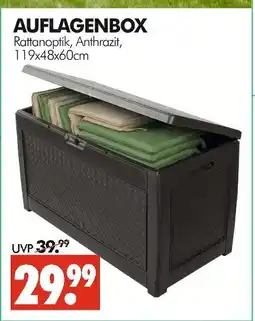 Wreesmann Auflagenbox Angebot