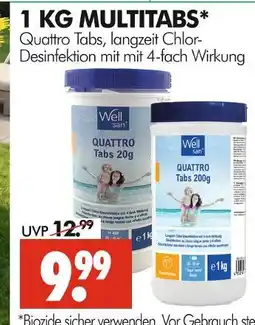 Wreesmann Well san quattro tabs 20g Angebot
