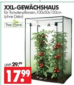 Wreesmann Top flora xxl-gewächshaus Angebot
