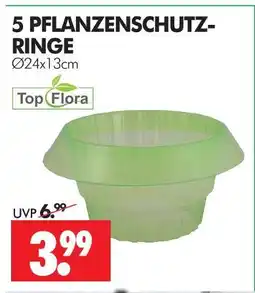 Wreesmann Top flora pflanzenschutzringe Angebot