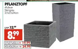 Wreesmann Pflanztopf kubus Angebot