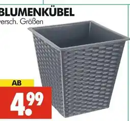 Wreesmann Blumenkübel Angebot