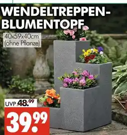 Wreesmann Wendeltreppen-blumentopf Angebot