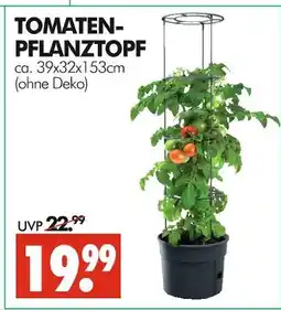 Wreesmann Tomaten-pflanztopf Angebot