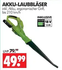 Wreesmann Akku-laubbläser Angebot
