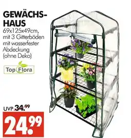 Wreesmann Top flora gewächshaus Angebot