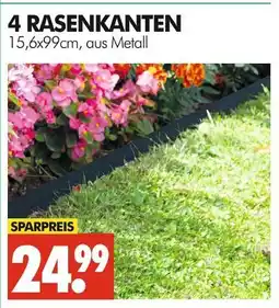 Wreesmann 4 rasenkanten Angebot
