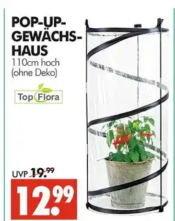 Wreesmann Top flora pop-up-gewächshaus Angebot