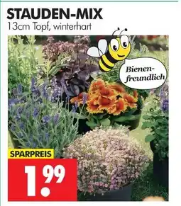 Wreesmann Stauden-mix Angebot