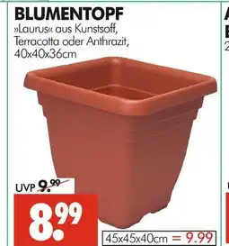 Wreesmann Blumentopf laurus 40x40x36cm Angebot